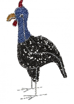 BEADED GUINEA