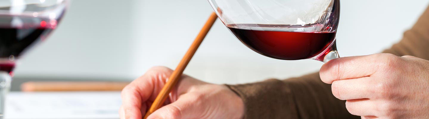 wine education