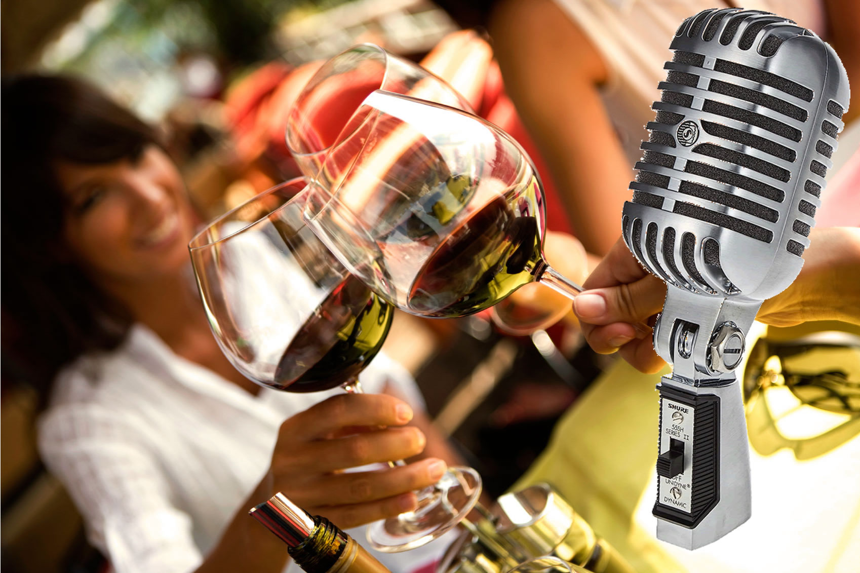 Artisan Wine Tasting Summer Chill Out & Karaoke Party
