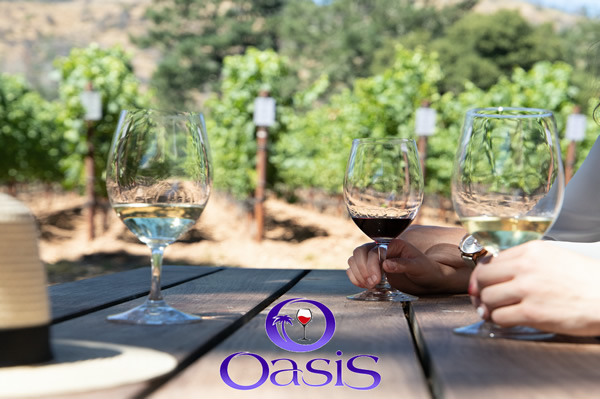 Artisan Wine Tasting Oasis
