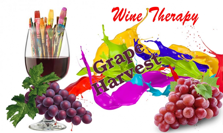 wine-therapy-grape-harvest